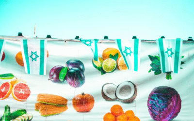 Humanitarian Aid – Food Coupons