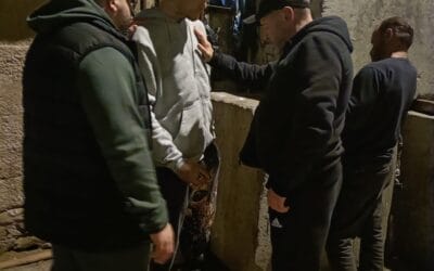 Beit HaYeshua – Humanitarian Aid