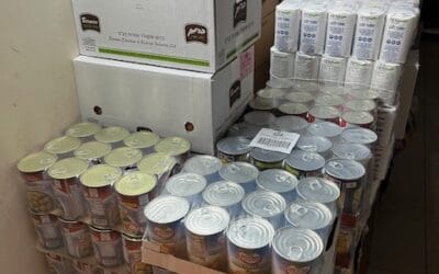 Matza & food for Passover