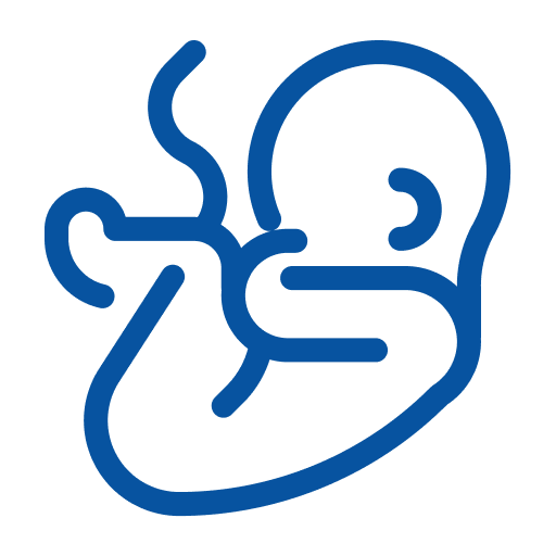 icon_pro_life_ministry
